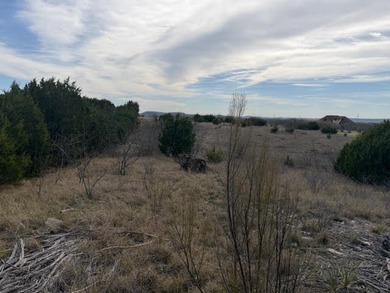 Private and secluded five acre lot backs up to a cattle ranch - photo 6