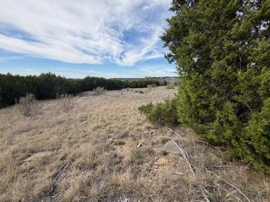 Private and secluded five acre lot backs up to a cattle ranch - photo 7