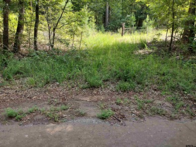Looking for secluded hunting, recreation, or home site tract - Lake Acreage For Sale in Lone Star, Texas
