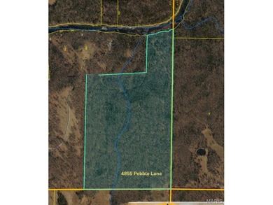 (private lake, pond, coastal) Acreage For Sale in Farmington Missouri