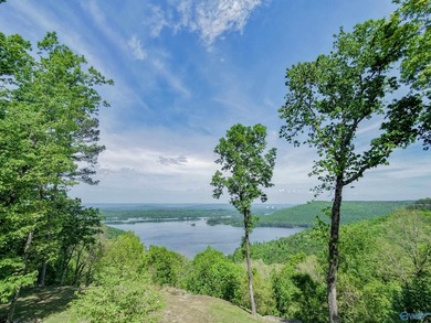 Perched on nearly 4+/- private acres with a breathtaking bluff - photo 8