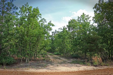 (private lake, pond, coastal) Acreage For Sale in Williston South Carolina