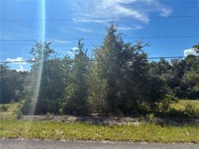 Bonable Lake Lot Sale Pending in Dunnellon Florida