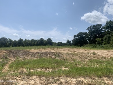 (private lake, pond, creek) Lot For Sale in Lake Cormorant Mississippi