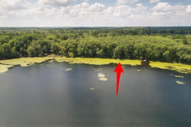 Black Oak Lake - Vilas County Acreage For Sale in Chimacum Wisconsin