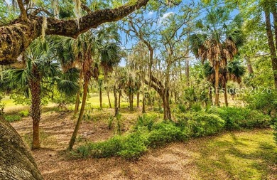 Nestled on a private circle within the prestigious Callawassie - photo 3