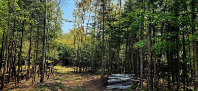 Squaw Lake - Oneida County Acreage For Sale in Lac Du Flambeau Wisconsin