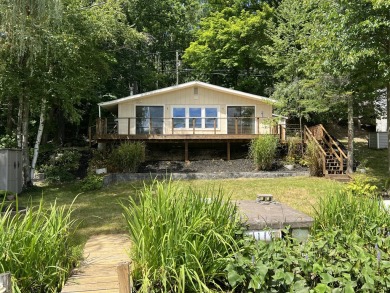 Lake Home For Sale in Riverdale, Michigan