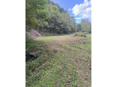 Clinch River - Hancock County Acreage Sale Pending in Kyles Ford Tennessee