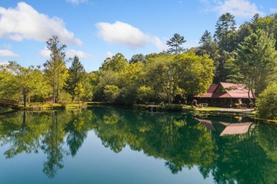 (private lake, pond, creek) Home For Sale in Blue Ridge Georgia