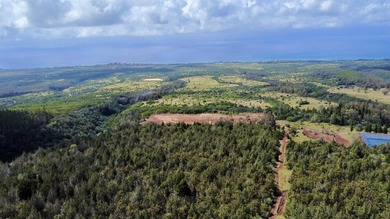 Located near the top of the Kahana Ahupua'a in West Maui, this - photo 1