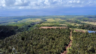 Located near the top of the Kahana Ahupua'a in West Maui, this - photo 2