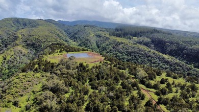 Located near the top of the Kahana Ahupua'a in West Maui, this - photo 3