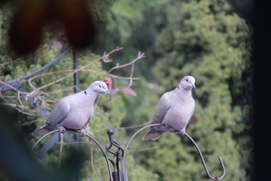 HOME IS VACANT AND READY FOR NEW BUYER TO MOVE IN. This 1996