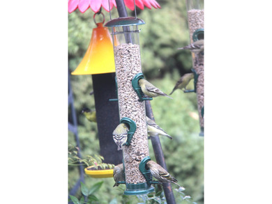 HOME IS VACANT AND READY FOR NEW BUYER TO MOVE IN. This 1996