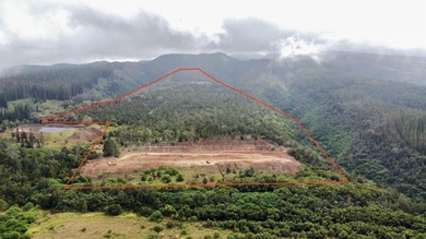 Located near the top of the Kahana Ahupua'a in West Maui, this - photo 5