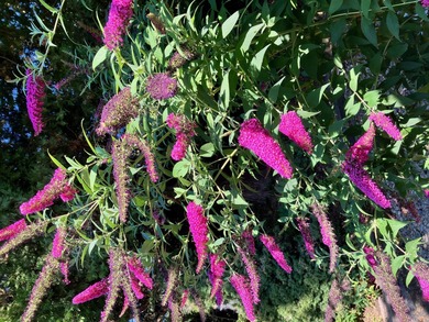 HOME IS VACANT AND READY FOR NEW BUYER TO MOVE IN. This 1996