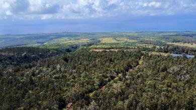 Located near the top of the Kahana Ahupua'a in West Maui, this - photo 6