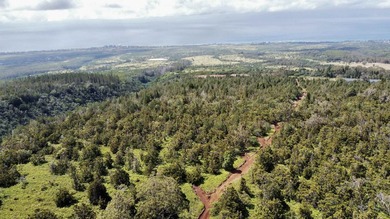 Located near the top of the Kahana Ahupua'a in West Maui, this - photo 7