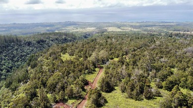 Located near the top of the Kahana Ahupua'a in West Maui, this - photo 8