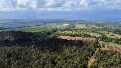 Located near the top of the Kahana Ahupua'a in West Maui, this - photo 9