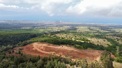 Located near the top of the Kahana Ahupua'a in West Maui, this - photo 10