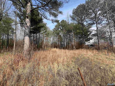 Weiss Lake Lot For Sale in Centre Alabama