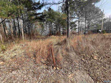 Level RV lot with view of the water across the road. Bring your - photo 2