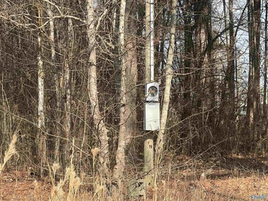 Level RV lot with view of the water across the road. Bring your - photo 3
