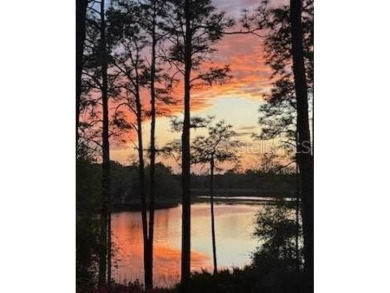 Lake Home For Sale in Ocklawaha, Florida