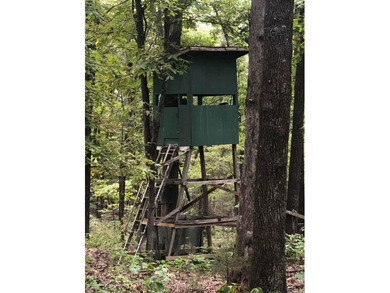 Vagabond Lake Acreage For Sale in Williford Arkansas