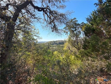 OWNER FINANCING AVAILABLE!! Discover the beauty of Hill Country - photo 4