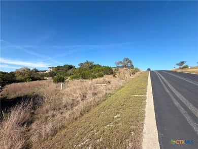 OWNER FINANCING AVAILABLE!! Discover the beauty of Hill Country - photo 6