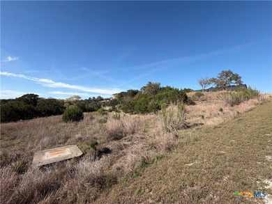 OWNER FINANCING AVAILABLE!! Discover the beauty of Hill Country - photo 7