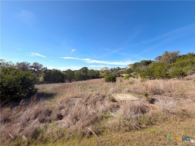 OWNER FINANCING AVAILABLE!! Discover the beauty of Hill Country - photo 9
