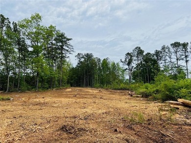 (private lake, pond, coastal) Acreage For Sale in Acworth Georgia