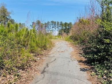 2 Parcels - 2520 Baker Rd NW and 2530 Baker Rd NW Total of 3.84 - photo 4
