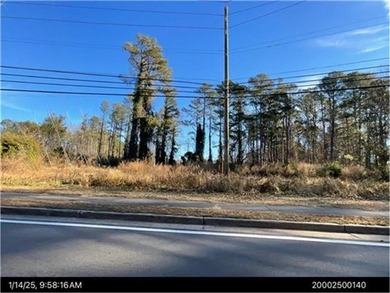2 Parcels - 2520 Baker Rd NW and 2530 Baker Rd NW Total of 3.84 - photo 9