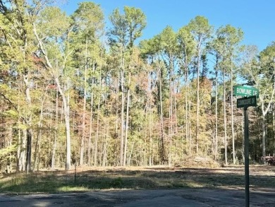 Call Your Builder!  It's Ready to Go! - Lake Lot Sale Pending in Hemphill, Texas