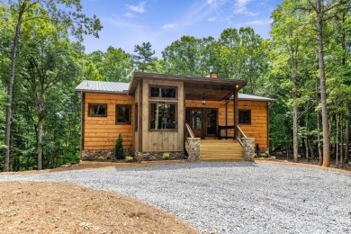 Lake Home For Sale in Morganton, Georgia