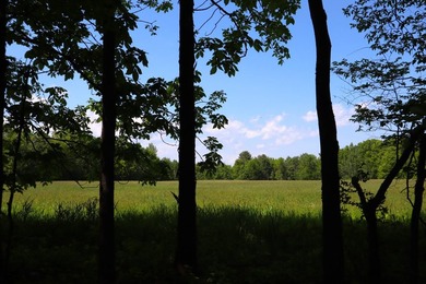 Sitting on a peaceful country road is this beautiful farming and - photo 15