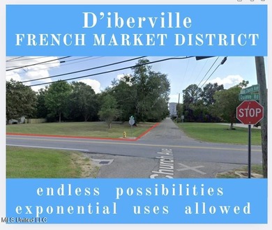 DEVELOPMENT OPPORTUNITY in D'Iberville's FRENCH MARKET DISTRICT - photo 1