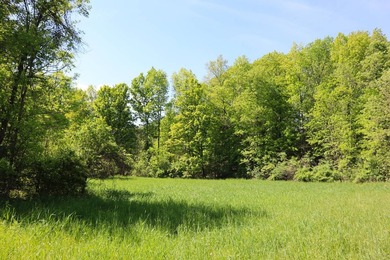 Sitting on a peaceful country road is this beautiful farming and - photo 21