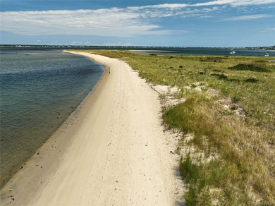Experience the essence of Hamptons Oceanfront living in this - photo 30