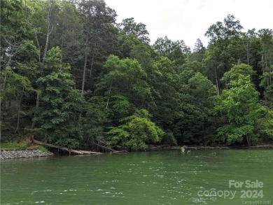 Lake Lot For Sale in Nebo, North Carolina