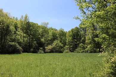 Sitting on a peaceful country road is this beautiful farming and - photo 32