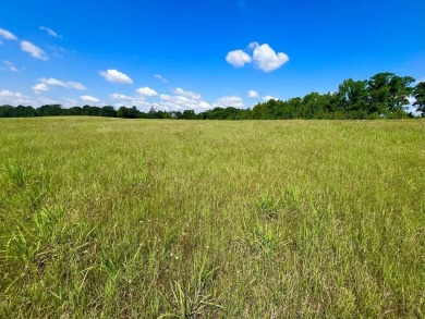 Lake Lot For Sale in Athens, Texas