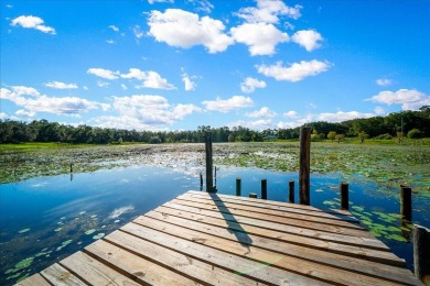 Lake Home Sale Pending in Ocklawaha, Florida