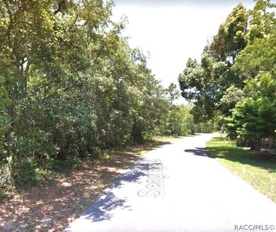 Premium home site in Cypress Village of Sugarmill Woods - photo 2