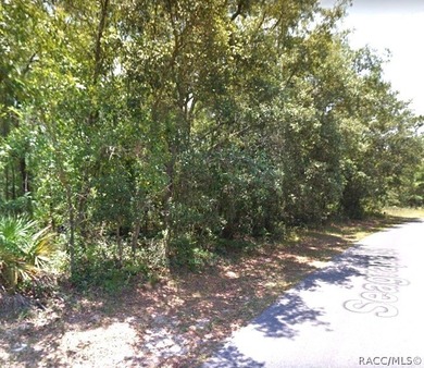 Premium home site in Cypress Village of Sugarmill Woods - photo 4